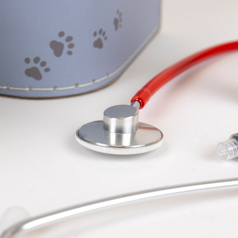 A close-up of a pet stethoscope with a silver chestpiece, red tubing, and a clear mouthpiece, shown next to a light blue pet health bag with paw print details on a white surface.