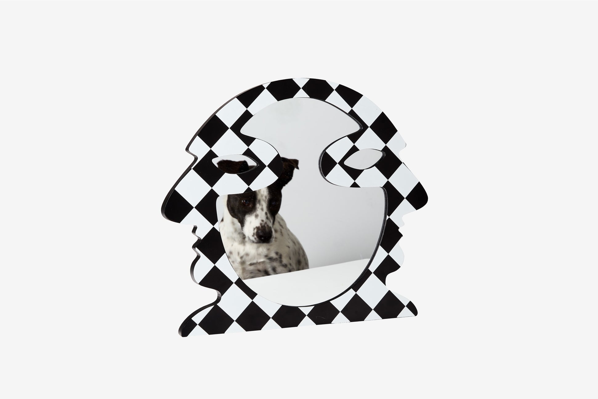 Black and white checkered mirror with a dog's reflection on a white background