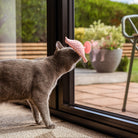 A grey cat sniffing a pink, bird-shaped The Perch & Treat Puzzle Cat Toy by Awoo Pets, which is attached to a glass window with a suction cup.