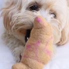 Dog playing with a toy resembling a foot on a white background