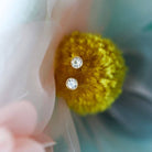 Gold stud earrings on a yellow flower with a blurred background