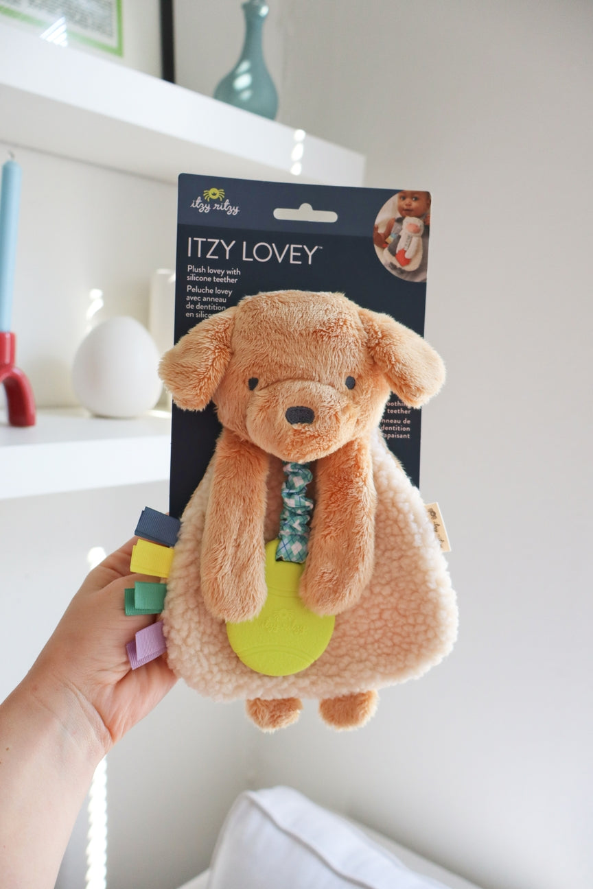 Plush dog toy with packaging labeled 'Itzy Lovey' held by a hand against a white background.