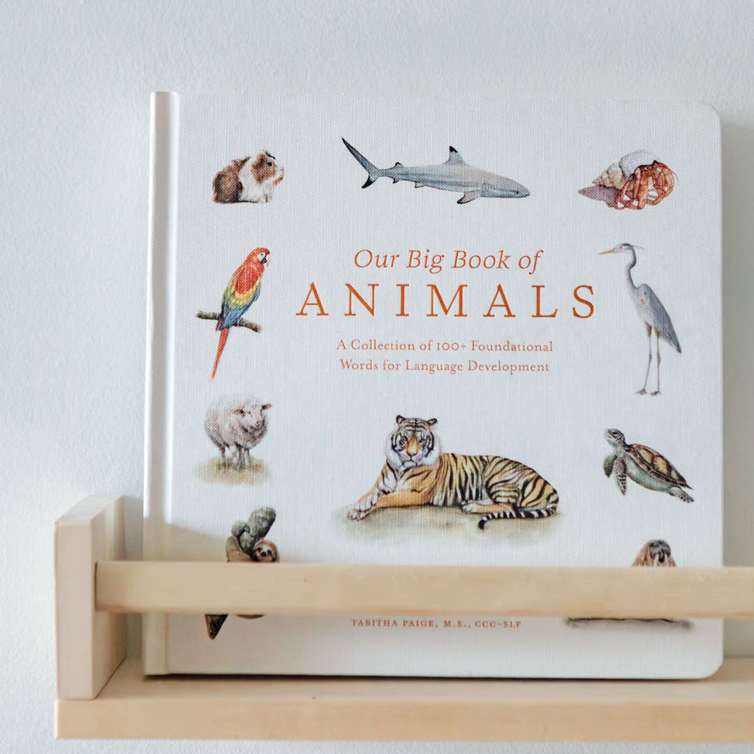 A children's picture book titled "Our Big Book of Animals" displayed upright on a light wood book stand against a plain white wall. The cover features watercolor-style illustrations of various animals including a tiger, shark, parrot, heron, turtle, and rabbit.