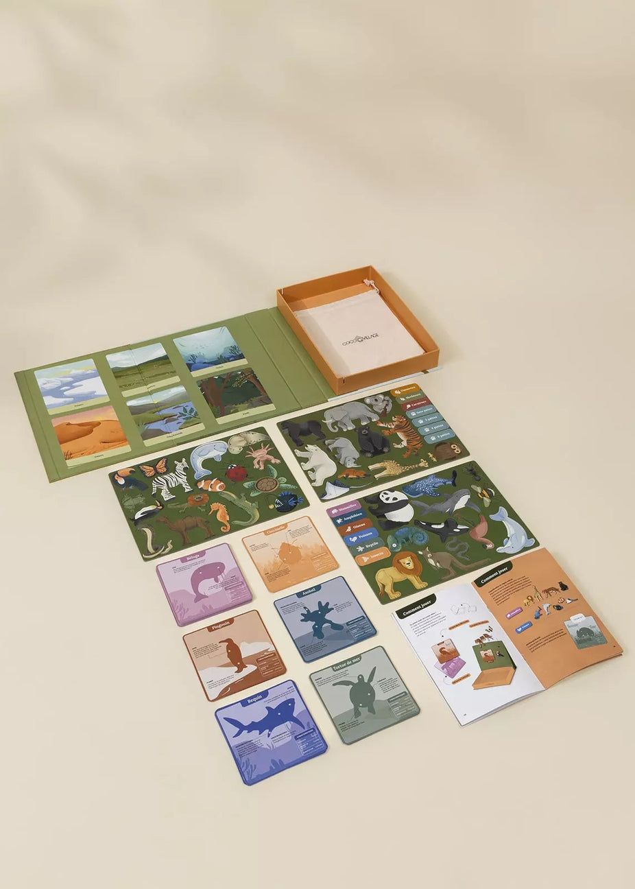 A children's card game set arranged on a warm beige background, including illustrated cards, a green play mat, an orange storage box, and instruction sheets.