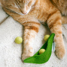 Orange cat playing with a green cat toy on a white blanket