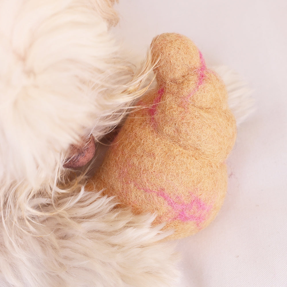 Close-up of a dog's paw with a pink mark on a white background