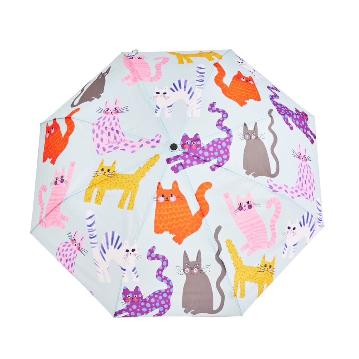 Umbrella with colorful cat pattern on a white background