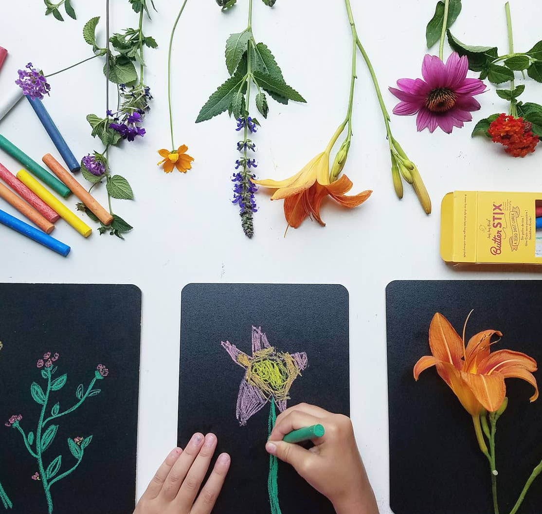 Artistic creation with flowers and colored pencils on a white background