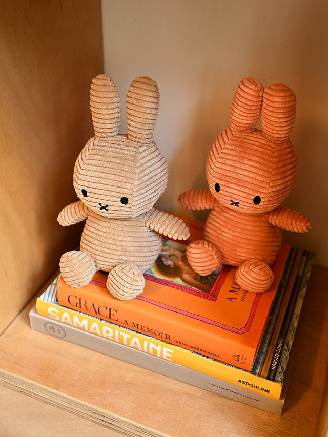 Two corduroy rabbit toys on a stack of books with a warm glow.