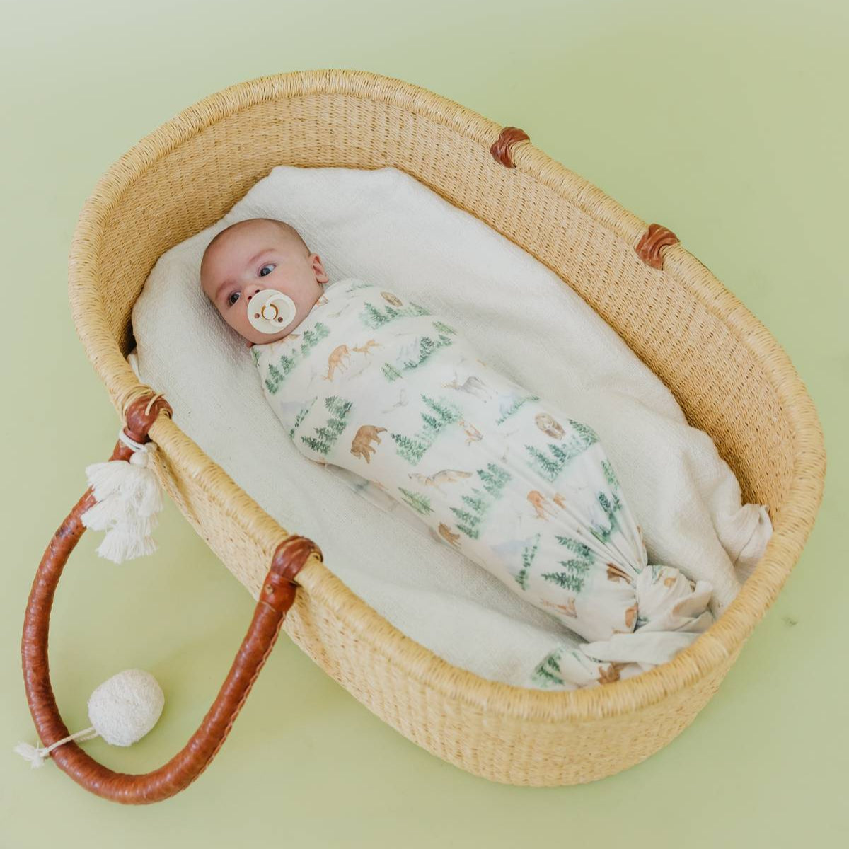 Newborn baby swaddled in a Moses basket with a light green background