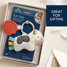 Itzy Ritzy Itzy Pal toy in packaging with text 'Great for Gifting'.