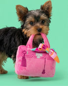 Small dog holding a pink handbag with a bow on a green background