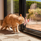 An orange cat sniffing a pink, bird-shaped The Perch & Treat Puzzle Cat Toy by Awoo Pets, which is attached to a glass window with a suction cup.