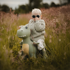 Child sitting on a green dinosaur toy in a field of tall grass.