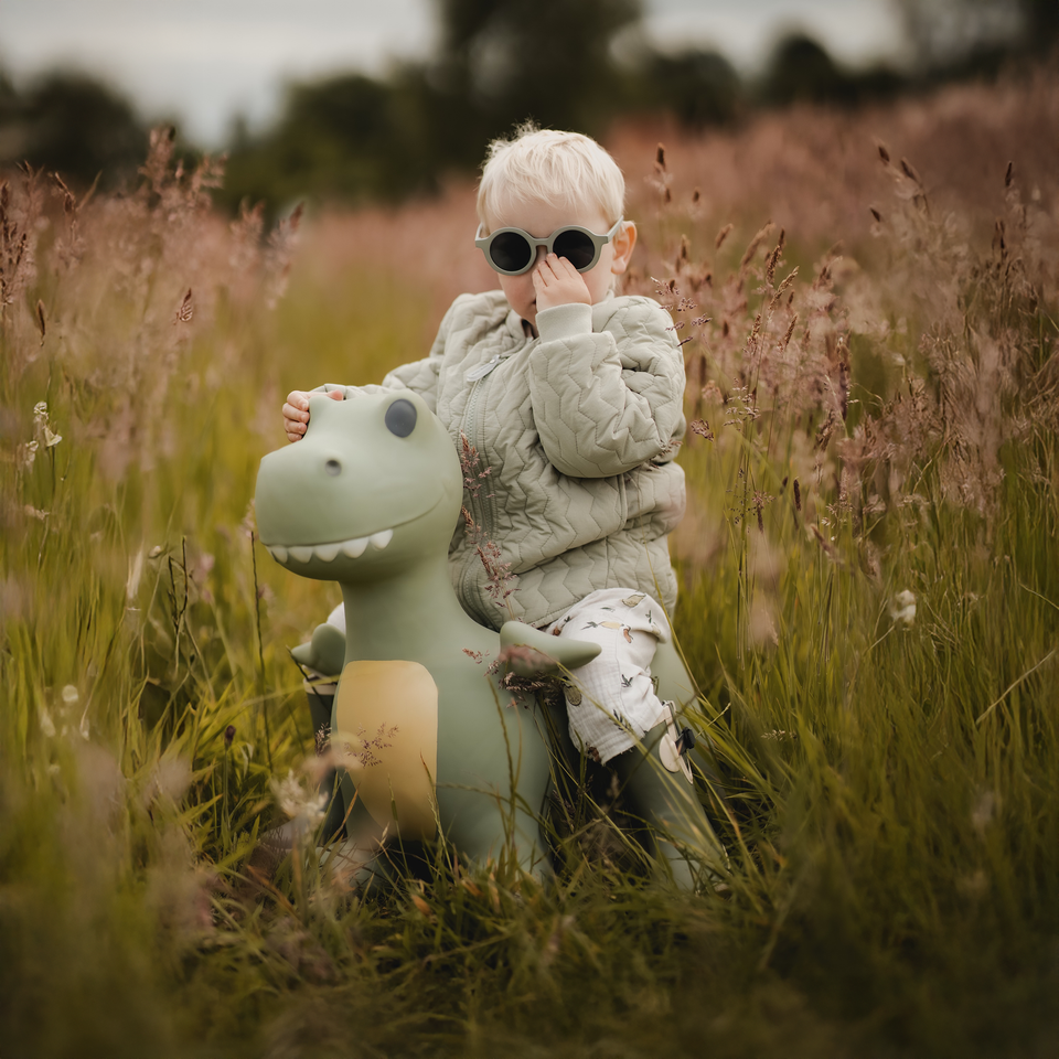 Child sitting on a green dinosaur toy in a field of tall grass.