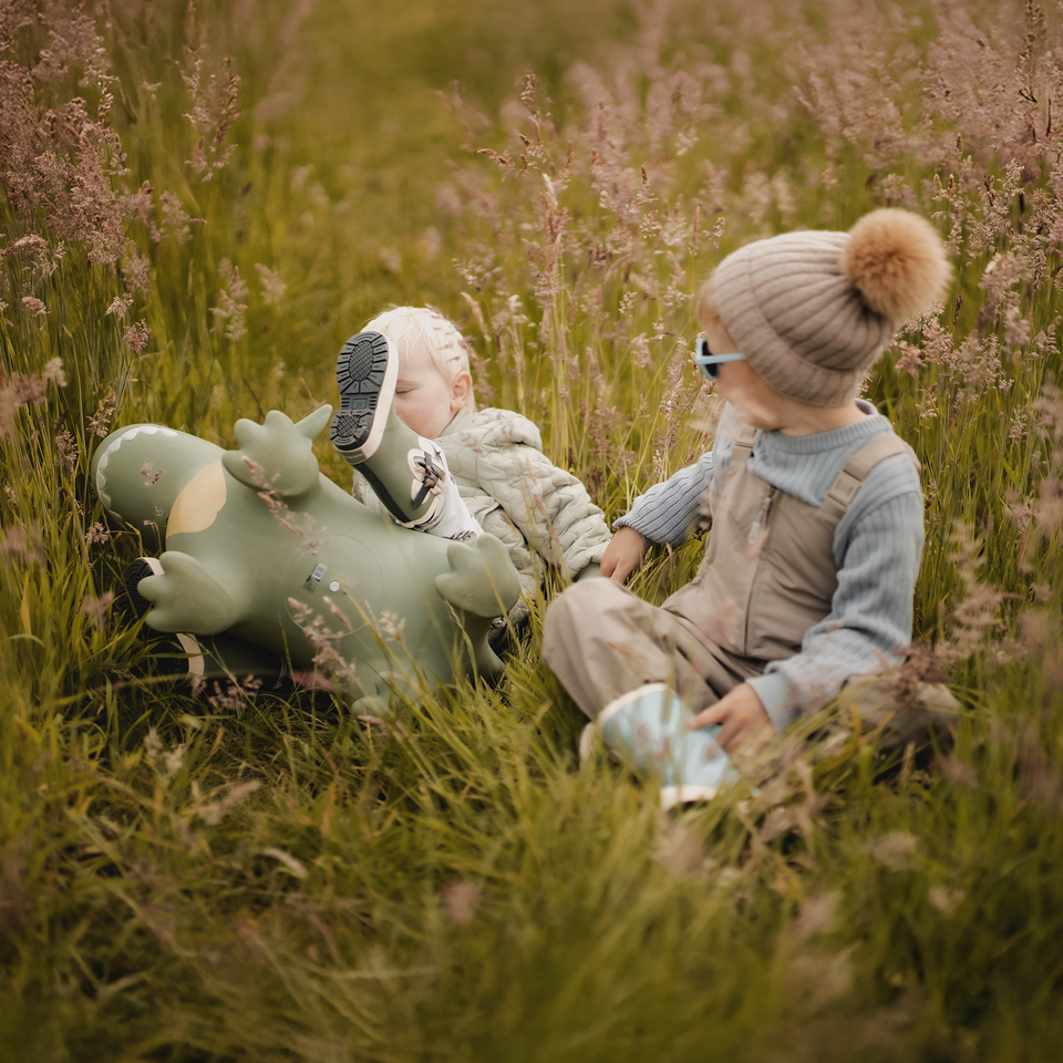 Two children playing with a toy dinosaur in a grassy field.