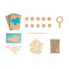 Assorted educational or craft items including cards, bones, and tools on a white background