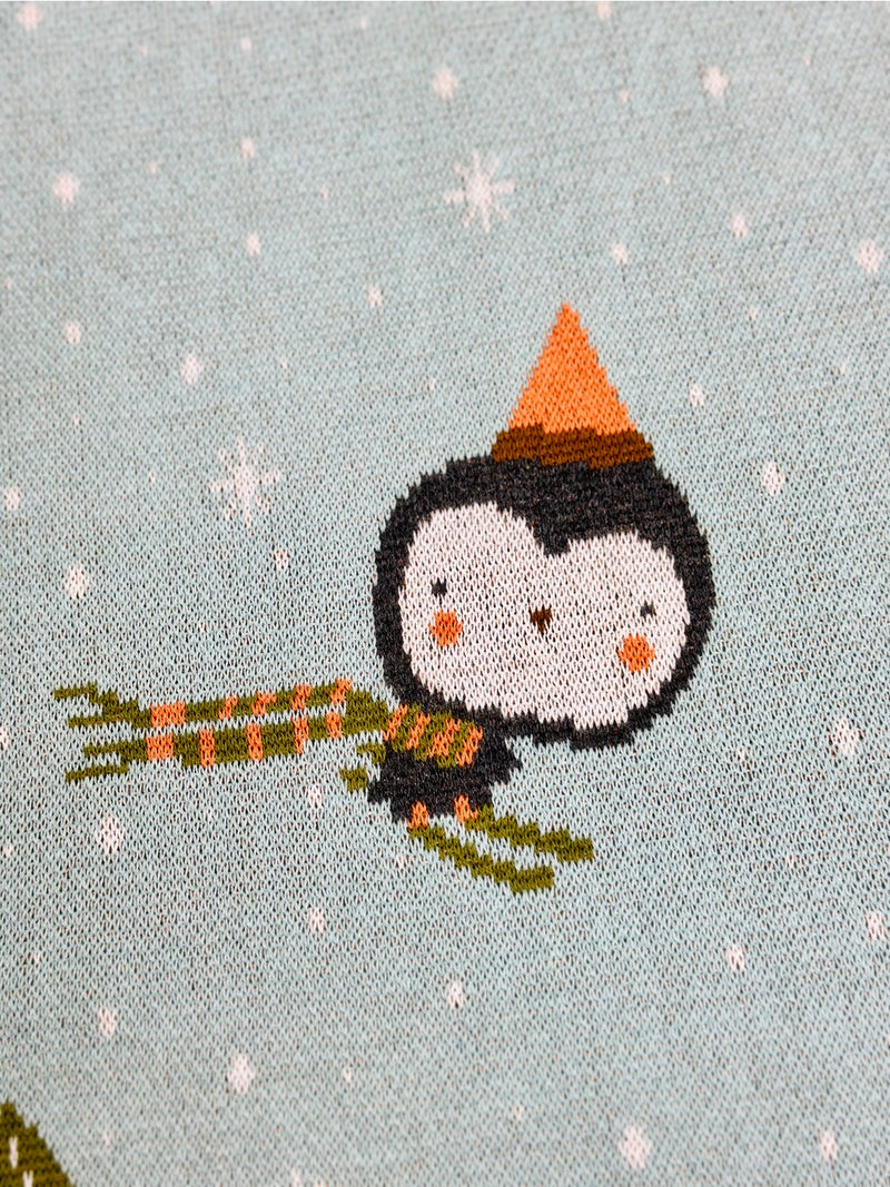 Organic Cotton 3D Jacquard Knit Baby Blanket - Fox & Bear Ski by Viverano Organics