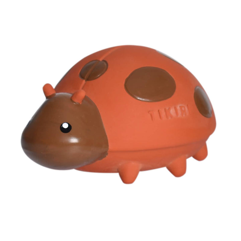 Ladybug Natural Rubber Teether, Rattle & Bath Toy by Tikiri Toys