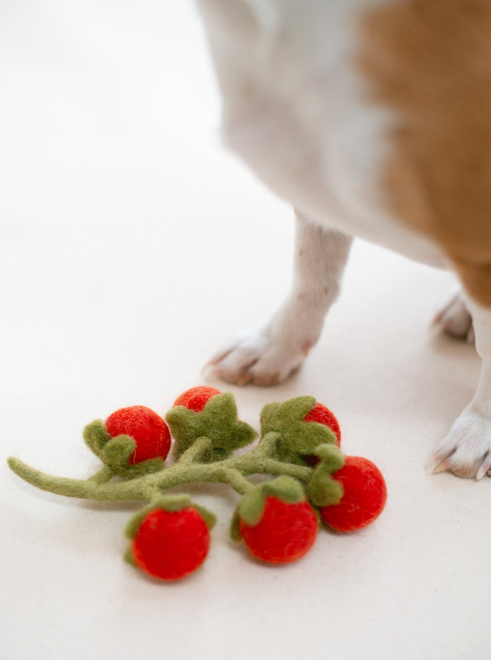 Dog toy resembling a branch with red berries on a white background