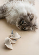 Cat playing with a catnip toy on a beige surface