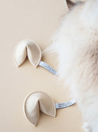Two beige fortune cookies with text on a light background