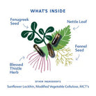 Illustration of herbs and seeds with labels on a white background