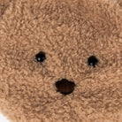 Close-up of a brown plush teddy bear face with black embroidered eyes and nose on a white background.