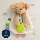 Dog-shaped toy with features labeled on a beige background