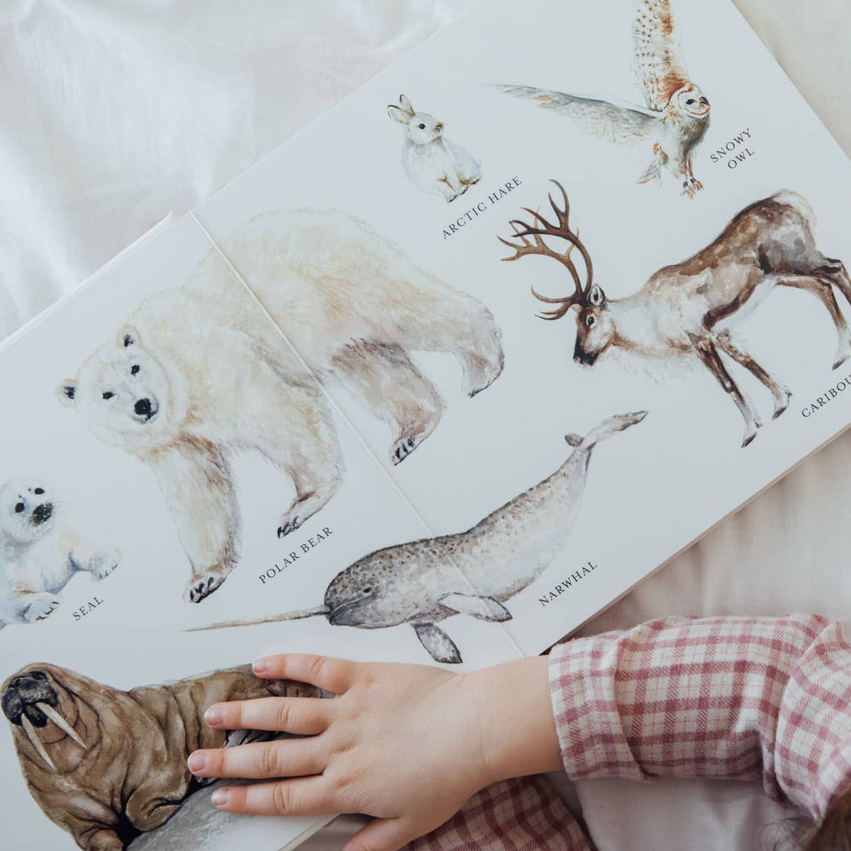 Children's book with illustrations of Arctic animals and a child's hand on the pages.