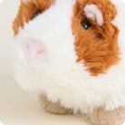 Close-up of a plush toy resembling a guinea pig with brown and white fur on a light background