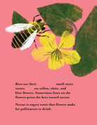 Illustration of a bee on a yellow flower with text about bees and flowers on a pink background