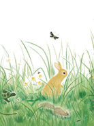 A soft watercolor illustration of woodland animals—including a rabbit, a turtle, and a squirrel—hiding in tall green grass with small yellow flowers and a butterfly above.