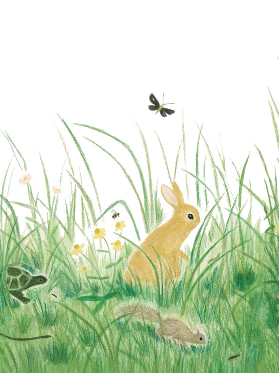 A soft watercolor illustration of woodland animals—including a rabbit, a turtle, and a squirrel—hiding in tall green grass with small yellow flowers and a butterfly above.