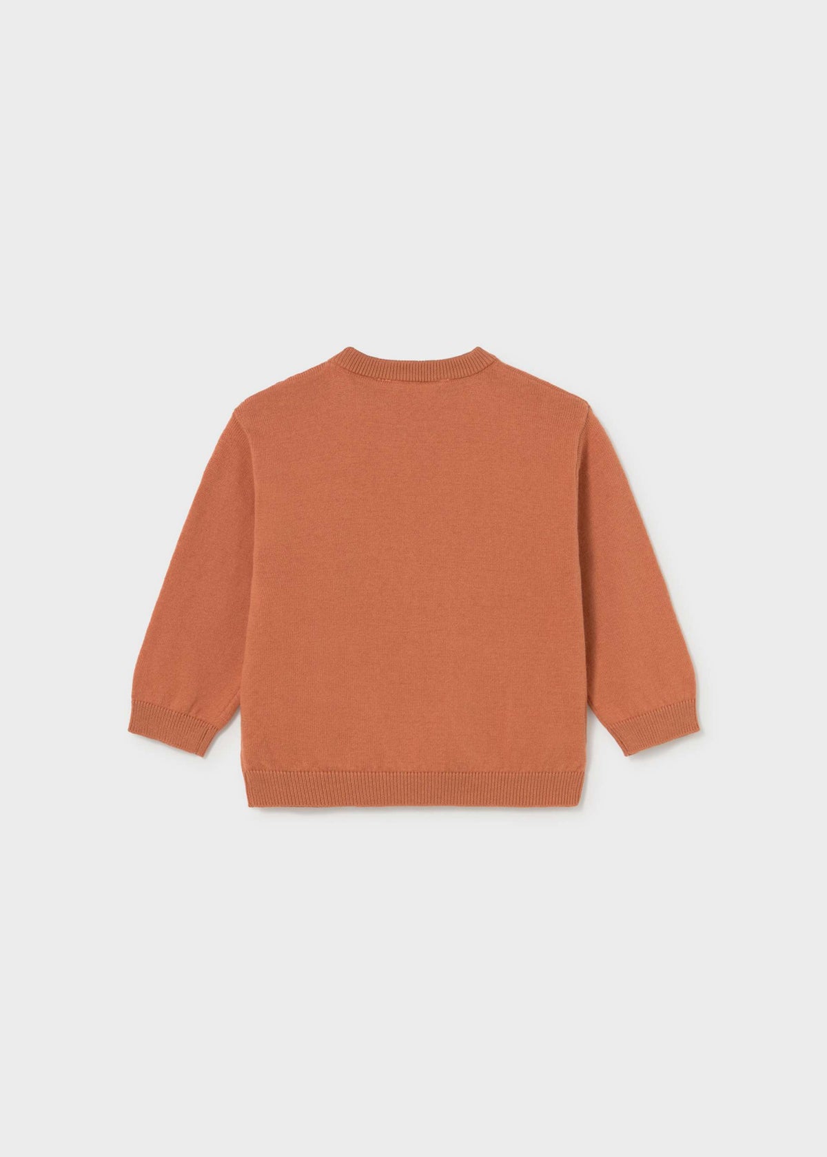 A terracotta orange long-sleeve knit sweater shown from the back, laid flat against a light gray background.