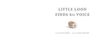 Book cover with a stone and text 'Little Loon Finds his Voice' on a white background