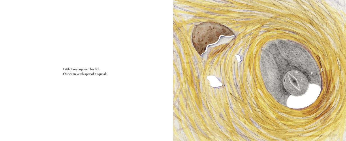 Illustration of a nest with eggs surrounded by yellow strands on a white background