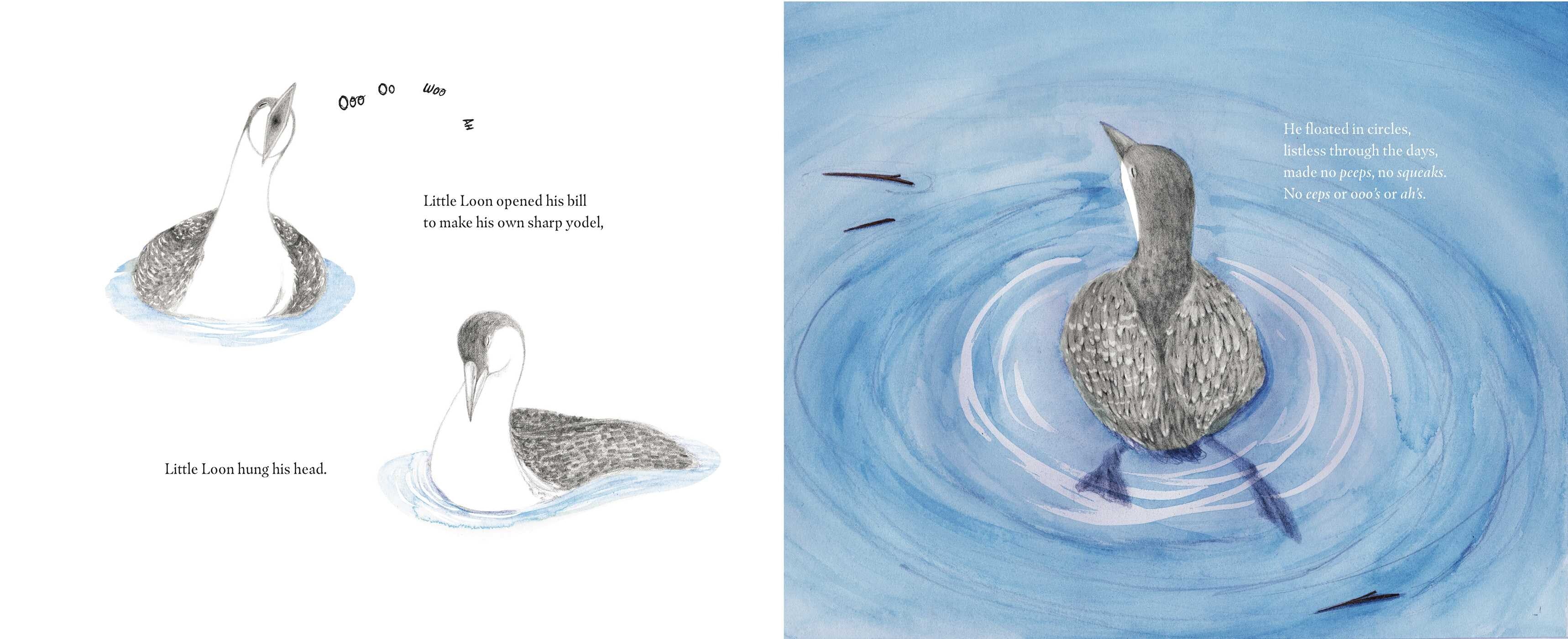 Illustration of a goose swimming with ripples on water, part of a children's book illustration.