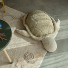 Plush turtle toy on a textured rug with a table and pencils in the background