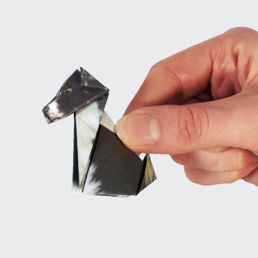 Hand holding a small metallic origami-like object against a white background