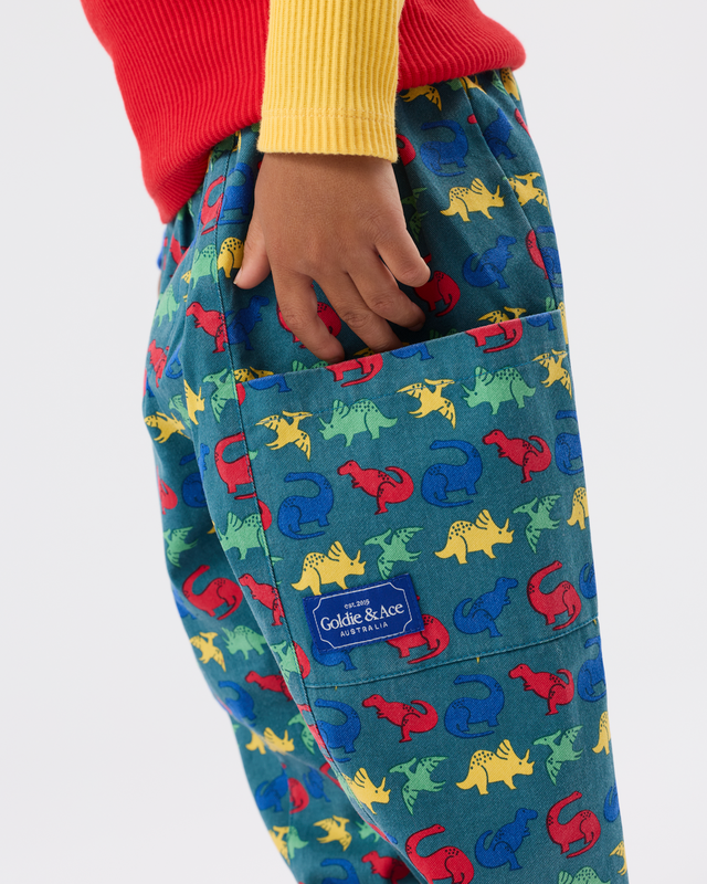 Close-up of a child wearing teal pants with a colorful dinosaur print, a red sweater, and a yellow sleeve, with a hand in the pocket. A Goldie & Joe brand patch is visible on the pants.