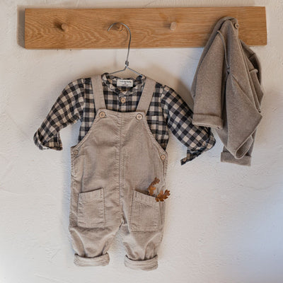 Oliver Hooded Jacket - Taupe by 1+ in the Family
