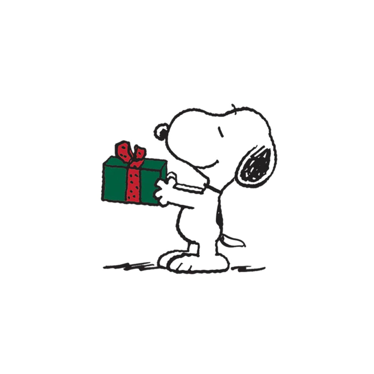 Cartoon dog holding a Christmas present on a white background