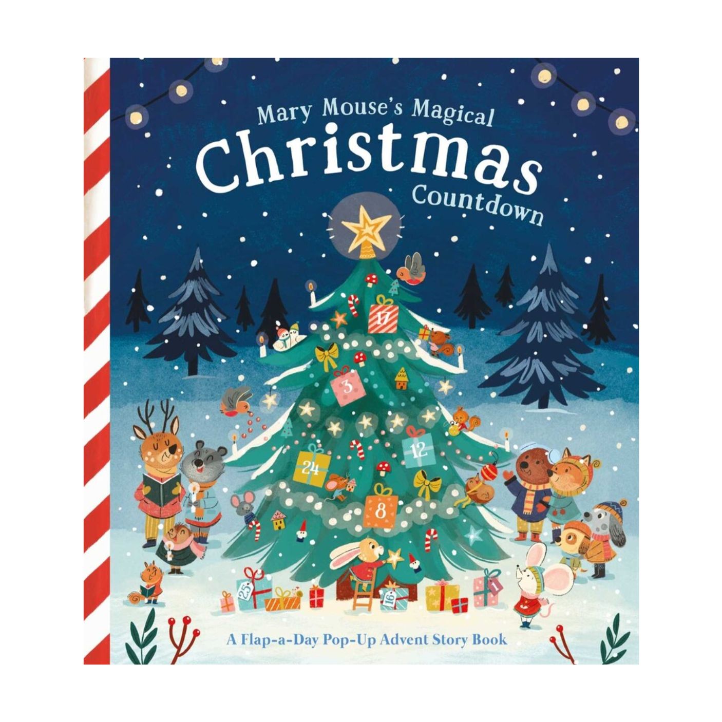 Mary Mouse's Magical Christmas Countdown - Board Book – Pacifier Kids ...