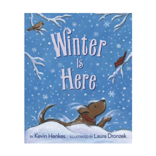 Winter Is Here - Board Book