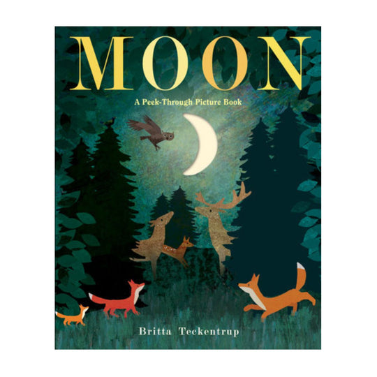 Moon: A Peek-Through Picture Book