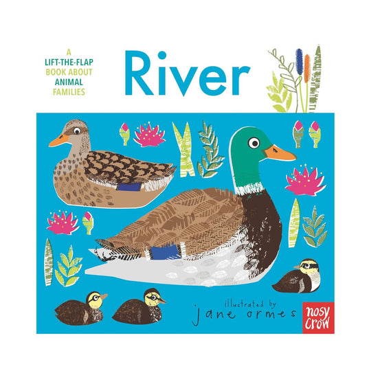 Animal Families: River - Board Book