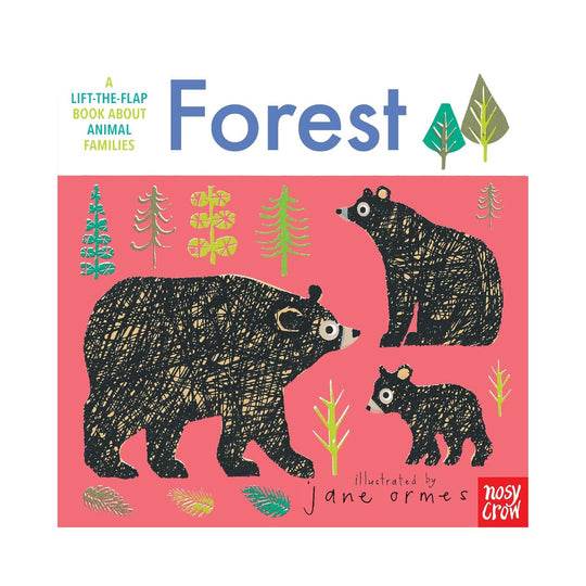 Animal Families: Forest - Board Book