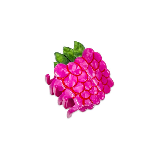 Mini Raspberry Hair Claw Clip by Jenny Lemons