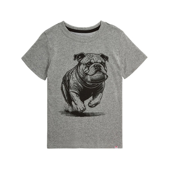 Bulldog & Football Graphic Tee - Grey Heather by Appaman